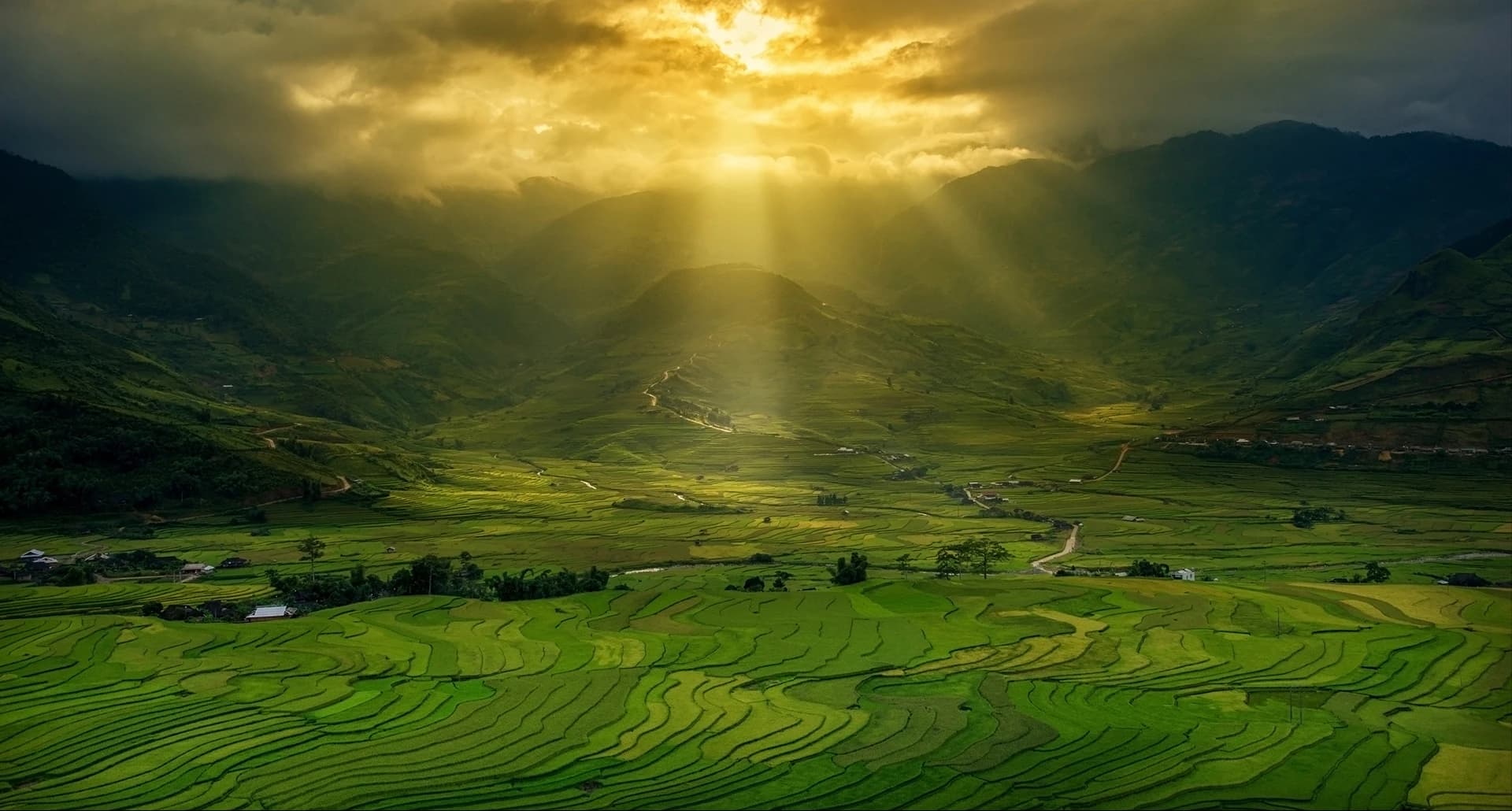 Ảnh bìa 1