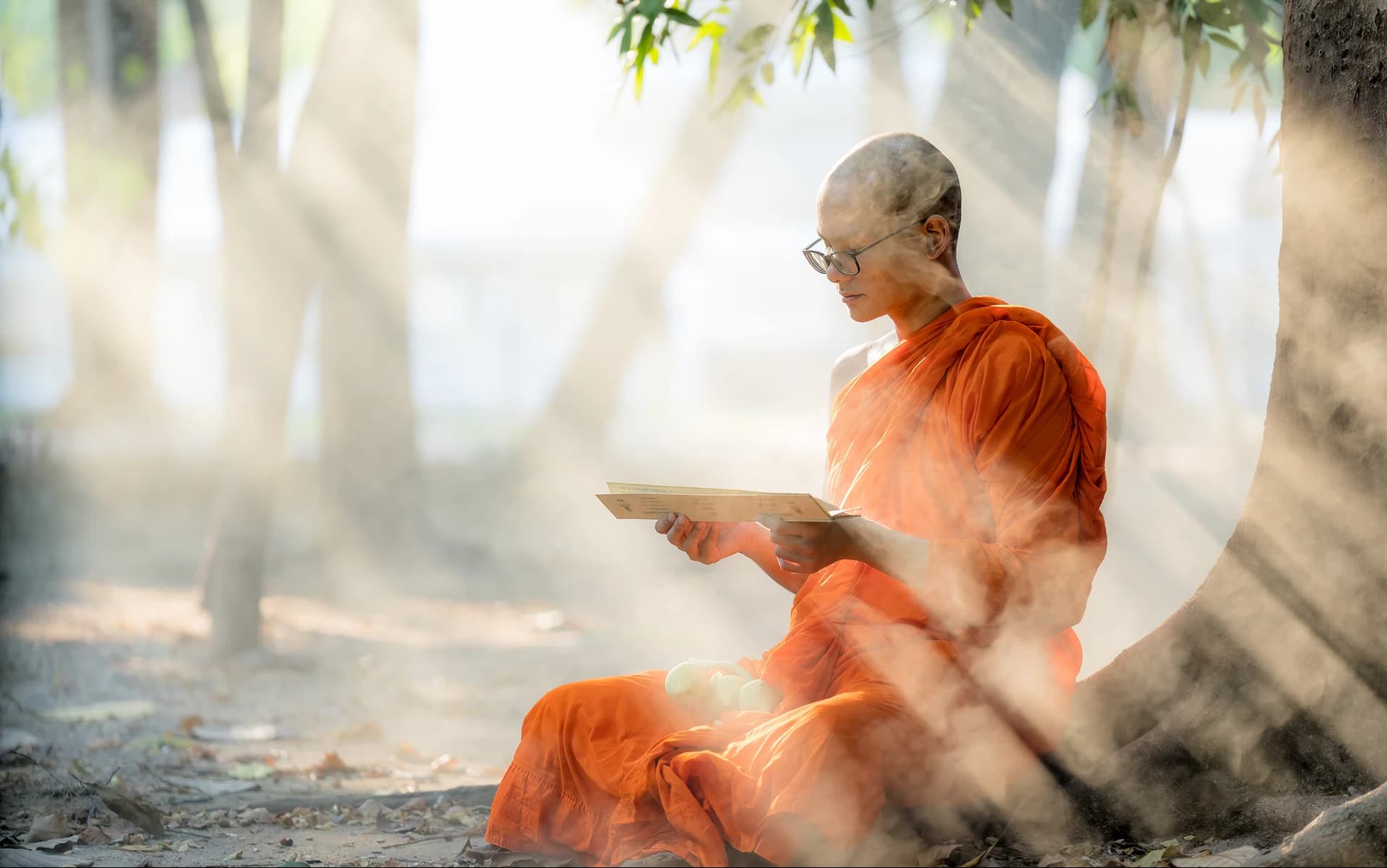Từ truyền thuyết đến đời thực