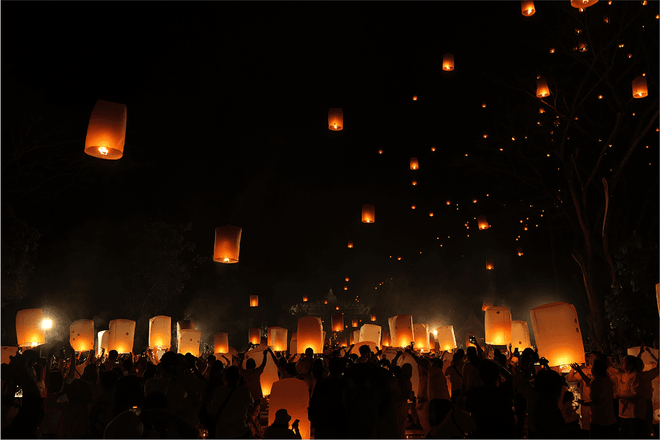 Vận chuyển cây Đàn Hương toàn quốc