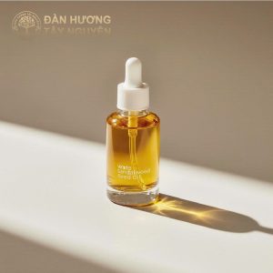 Dầu hạt Đàn Hương trắng và tiềm năng hỗ trợ phòng ngừa ung thư da