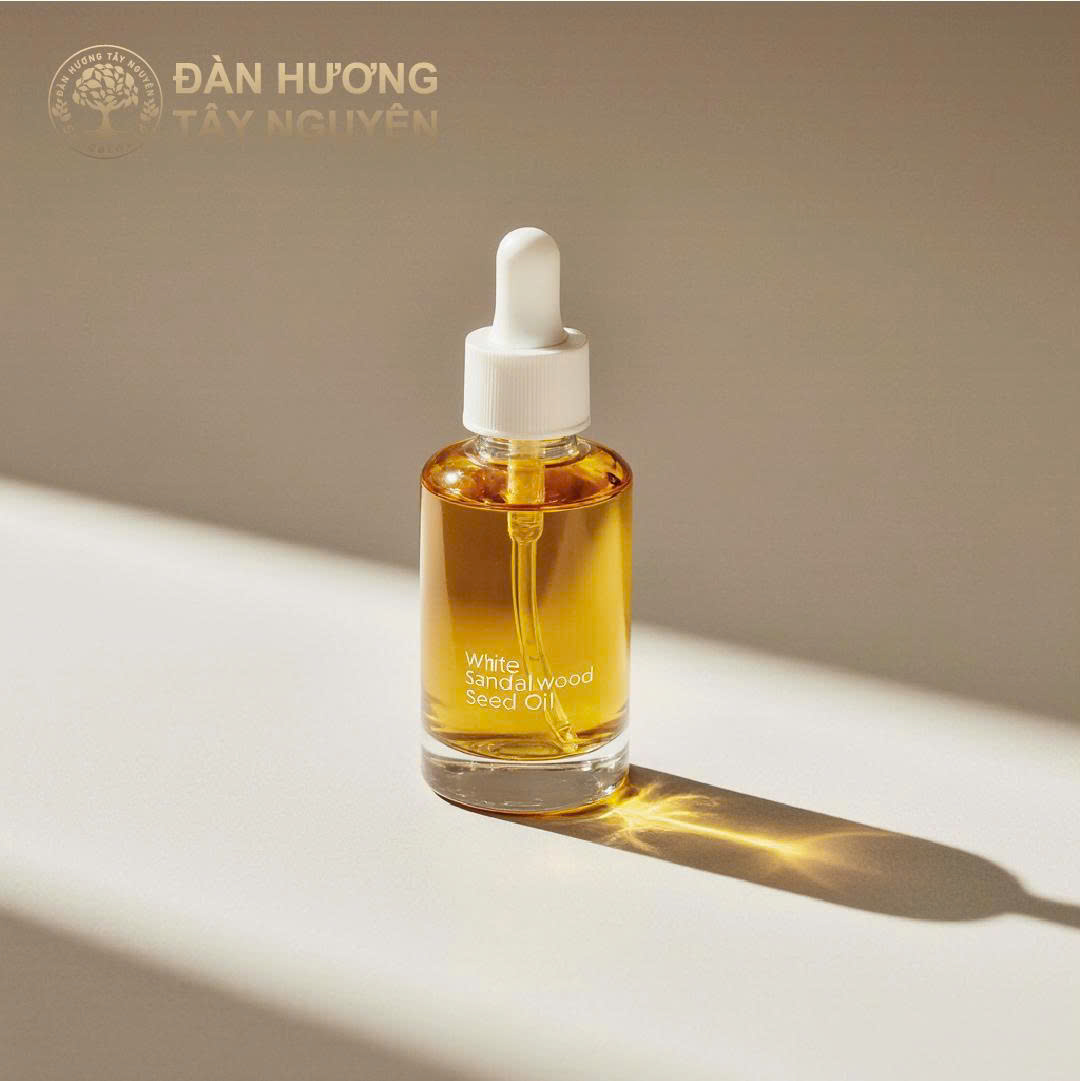 Dầu hạt Đàn Hương trắng và tiềm năng hỗ trợ phòng ngừa ung thư da