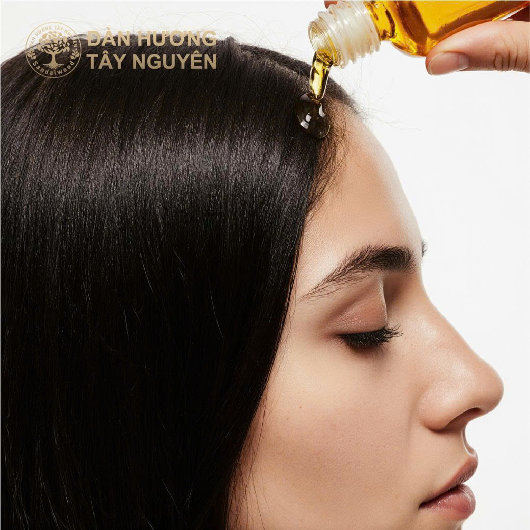 Dầu hạt Đàn Hương trắng ngày càng được ưa chuộng trong chăm sóc tóc.