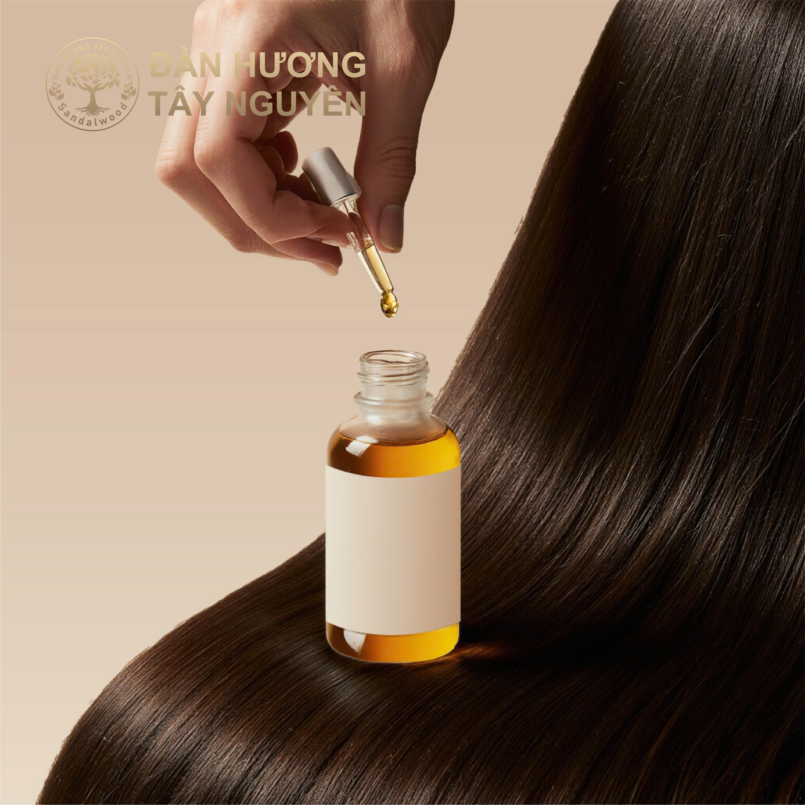 Dầu hạt Đàn Hương trắng ngày càng được ưa chuộng trong chăm sóc tóc.