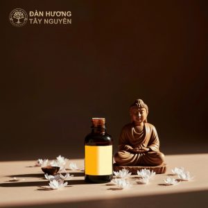 Đàn Hương trắng từ lâu gắn liền với tính thiêng liêng và sự tinh khiết. Khi sử dụng dầu hạt Đàn Hương trắng, người tập dễ cảm nhận sự kết nối nội tâm và chiều sâu tâm linh.